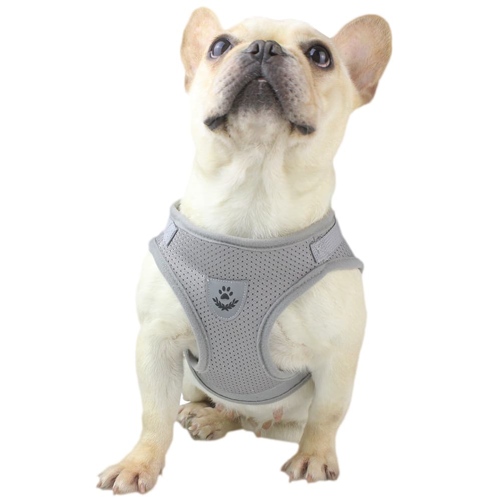 Reflective Harness & Leash Set