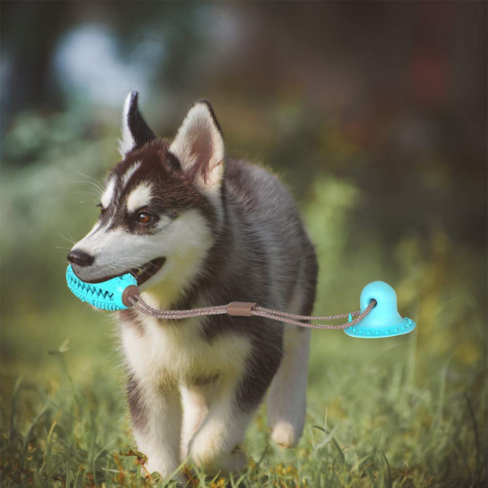 Pet Dog Toys Silicon Suction Cup Tug dog toy Dogs Push Ball Toy Pet Tooth Cleaning Dog Toothbrush for Puppy large Dog Biting Toy